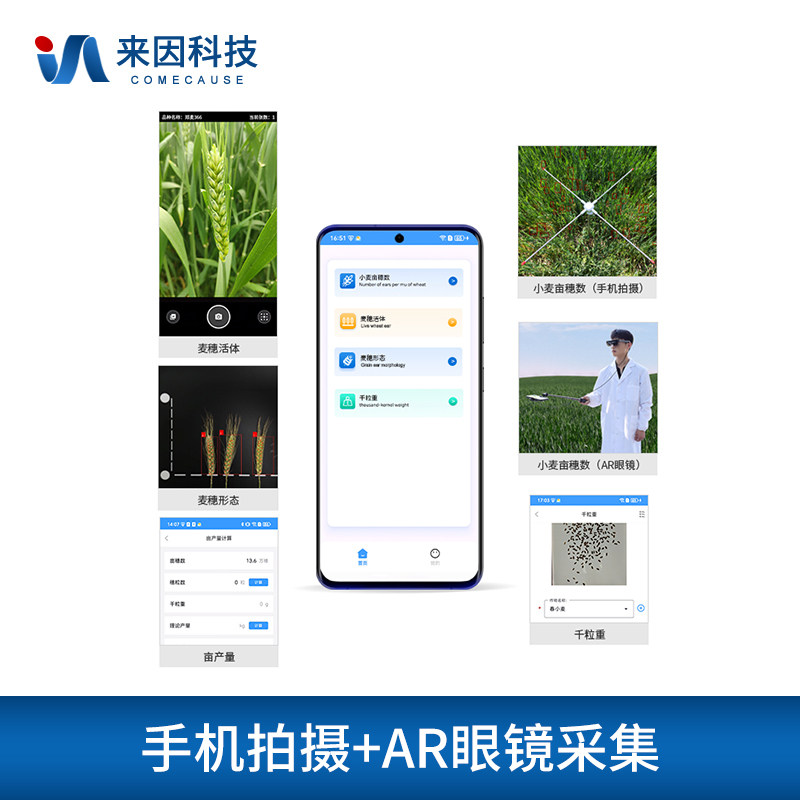小麦亩穗数分析仪IN-XM02