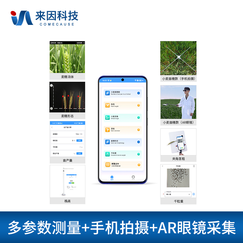 小麦表型测量仪IN-XM05