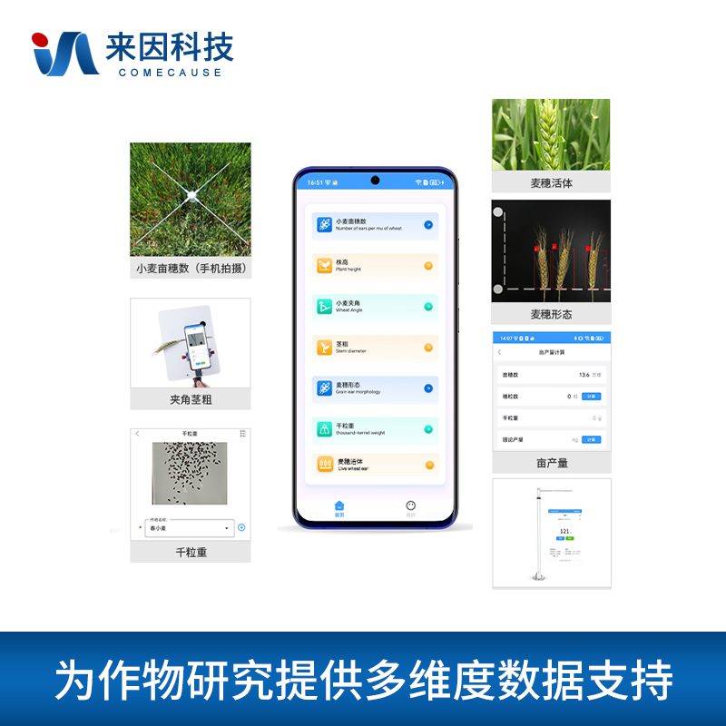 小麦表型分析系统IN-XM04